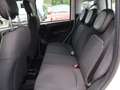 Fiat Panda Pandina 1,0 GSE Klimaanlage PDC M+S Weiß - thumbnail 27