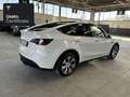Tesla Model Y Long Range AWD Bianco - thumbnail 7