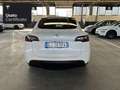 Tesla Model Y Long Range AWD Bianco - thumbnail 8