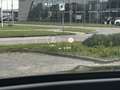 Mercedes-Benz GLE 400 d 4MATIC Panoramadak | Memory | Burmester Zwart - thumbnail 12