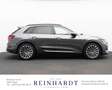 Audi e-tron 55 S LINE ACC/HuD/PANO/NACHTSICHT/KAMERA Gris - thumbnail 6