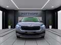 Skoda Kodiaq 2.0 TDI DSG TOUR NAVI KAMERA MATRIX PDC Grau - thumbnail 7