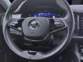 Skoda Kodiaq 2.0 TDI DSG TOUR NAVI KAMERA MATRIX PDC Grau - thumbnail 13