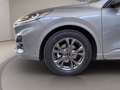 Ford Kuga 2.0 ecoblue ST-Line 2wd 120cv auto Grigio - thumbnail 11