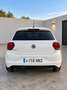 Volkswagen Polo 1.0 Advance 55kW Blanco - thumbnail 5