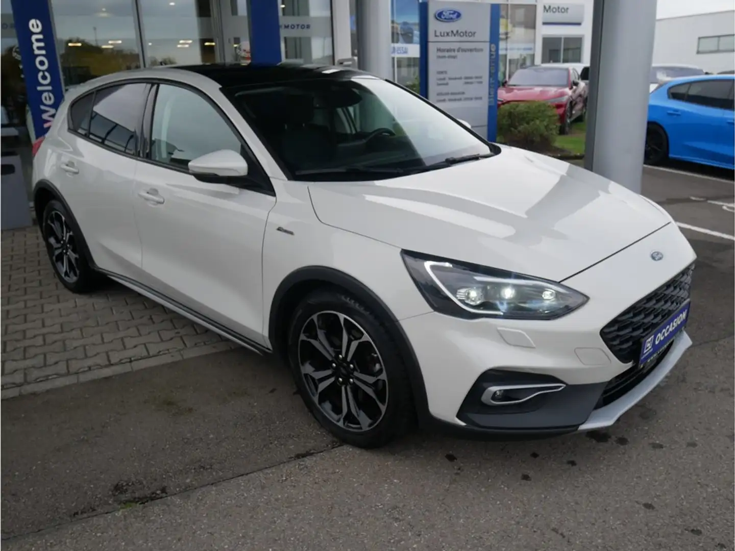 Ford Focus 1.0iEcoBoost 150CV M6 Active Business GAR  04/2026 Blanc - 2