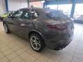 Alfa Romeo Stelvio Stelvio 2.9 T V6 AWD Quadrifoglio (EU6d-TEMP) Grijs - thumbnail 6