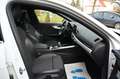 Audi A4 Avant 40 TDI quattro S line / AHK / 1.HAND Weiß - thumbnail 19