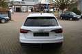Audi A4 Avant 40 TDI quattro S line / AHK / 1.HAND Weiß - thumbnail 7