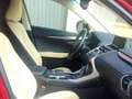 Lexus NX 300h 2.5 Executive 4WD Burdeos - thumbnail 18