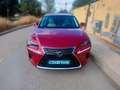Lexus NX 300h 2.5 Executive 4WD Burdeos - thumbnail 2