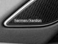 Volkswagen Tiguan R-Line 2.0 TDI DSG 4M AHK HarmanKardon IQ.Light... Argent - thumbnail 11