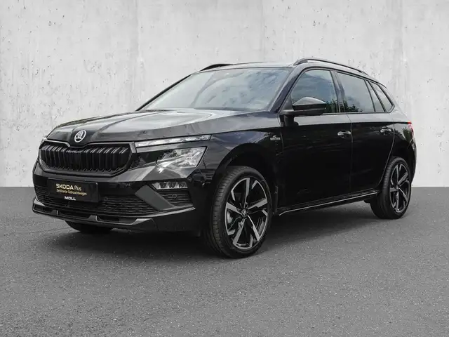Skoda Kamiq view 2