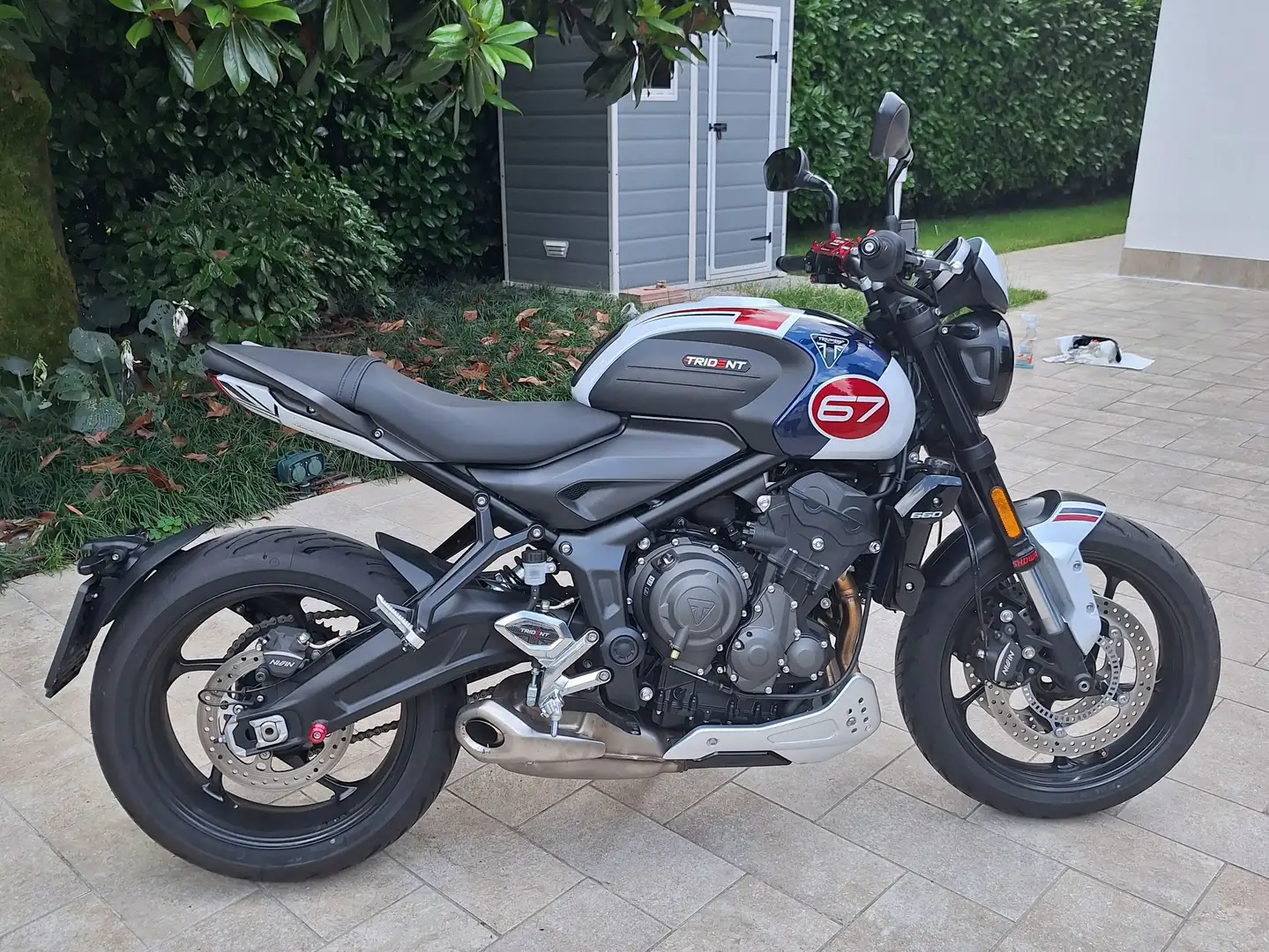 Triumph Trident 660 Triple Tribute Albastru - 2