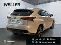 Lexus NX 300h Style Edition *Bi-LED*CAM*SHZ*CarPlay*PDC* Weiß - thumbnail 19