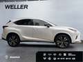 Lexus NX 300h Style Edition *Bi-LED*CAM*SHZ*CarPlay*PDC* Weiß - thumbnail 10