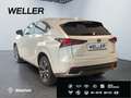 Lexus NX 300h Style Edition *Bi-LED*CAM*SHZ*CarPlay*PDC* Weiß - thumbnail 7