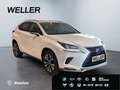 Lexus NX 300h Style Edition *Bi-LED*CAM*SHZ*CarPlay*PDC* Weiß - thumbnail 4
