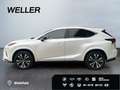 Lexus NX 300h Style Edition *Bi-LED*CAM*SHZ*CarPlay*PDC* Weiß - thumbnail 5