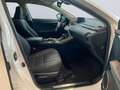 Lexus NX 300h Style Edition *Bi-LED*CAM*SHZ*CarPlay*PDC* Weiß - thumbnail 21