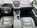 Lexus NX 300h Style Edition *Bi-LED*CAM*SHZ*CarPlay*PDC* Weiß - thumbnail 12