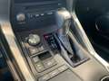 Lexus NX 300h Style Edition *Bi-LED*CAM*SHZ*CarPlay*PDC* Weiß - thumbnail 27