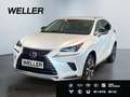 Lexus NX 300h Style Edition *Bi-LED*CAM*SHZ*CarPlay*PDC* Weiß - thumbnail 1