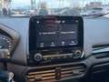 Ford EcoSport 1.0 EcoBoost 125 CV Start&Stop Titanium Grau - thumbnail 21