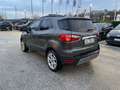 Ford EcoSport 1.0 EcoBoost 125 CV Start&Stop Titanium Grau - thumbnail 6