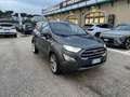 Ford EcoSport 1.0 EcoBoost 125 CV Start&Stop Titanium Grau - thumbnail 3