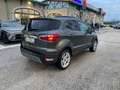 Ford EcoSport 1.0 EcoBoost 125 CV Start&Stop Titanium Grau - thumbnail 8