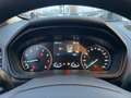 Ford EcoSport 1.0 EcoBoost 125 CV Start&Stop Titanium Grau - thumbnail 19