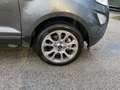 Ford EcoSport 1.0 EcoBoost 125 CV Start&Stop Titanium Grau - thumbnail 9