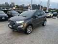Ford EcoSport 1.0 EcoBoost 125 CV Start&Stop Titanium Grau - thumbnail 1