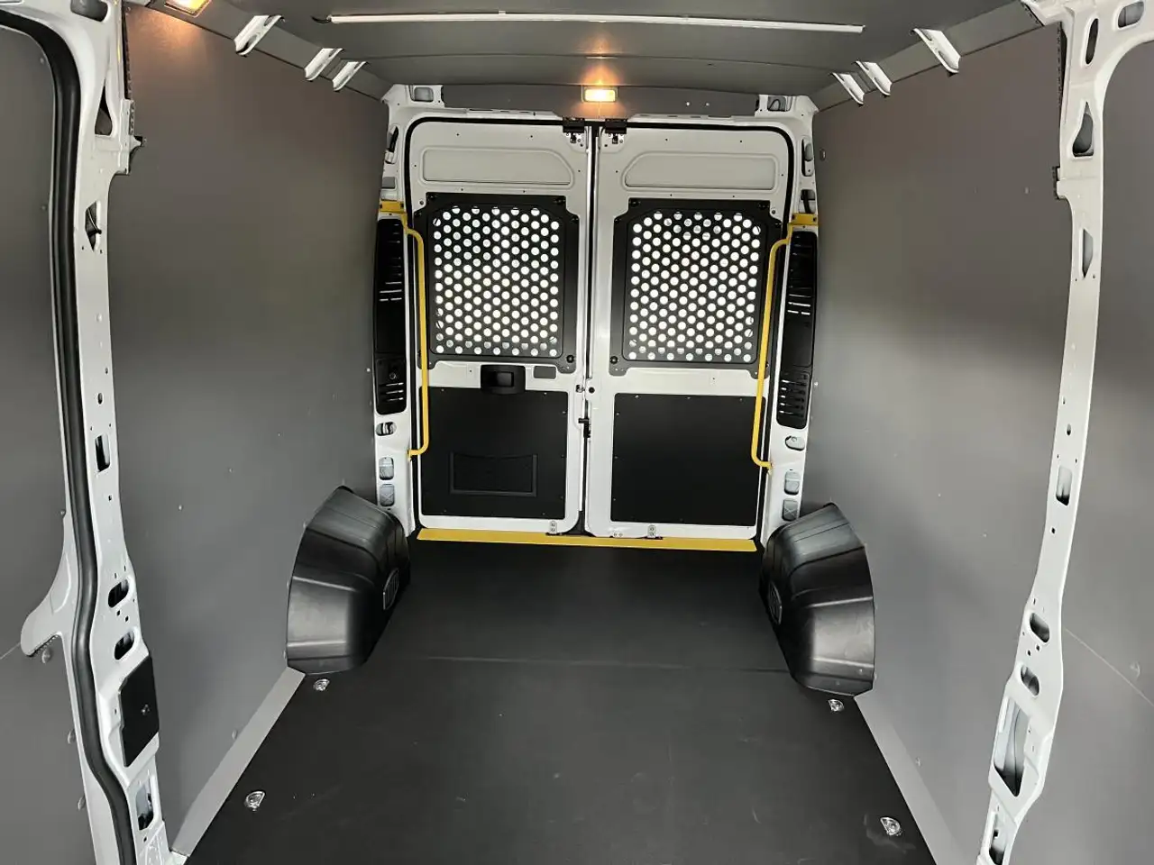 RAM Promaster снимка RAM Promaster