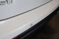 Kia Ceed SW / cee'd SW Sportswagon 1.0 T-GDi GT-Line Summer Edition Panor Bianco - thumbnail 7