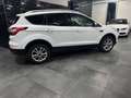 Ford Kuga Titanium Weiß - thumbnail 5