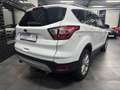 Ford Kuga Titanium Weiß - thumbnail 7