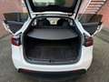 Tesla Model Y Model Y RWD 58 kWh | 2024 Sep Wit - thumbnail 10