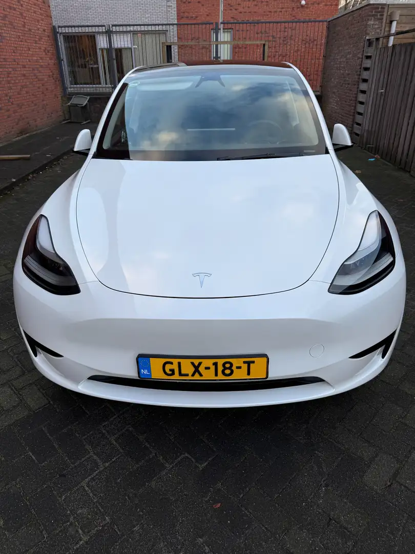 Tesla Model Y Model Y RWD 58 kWh | 2024 Sep Wit - 1