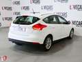 Ford Focus 1.5TDCi Business 95 White - thumbnail 4