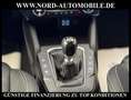 Ford Focus Turnier 2.0 EcoBlue VIGNALE *AHK*HUD*VIRT* Vignale Grau - thumbnail 19