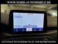 Ford Focus Turnier 2.0 EcoBlue VIGNALE *AHK*HUD*VIRT* Vignale Grau - thumbnail 20