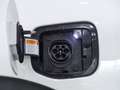 Kia Niro 1.6 GDI PLUG-IN HYBRID DRIVE 141 5P Blanco - thumbnail 18