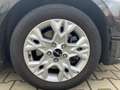 Kia Ceed / cee'd 1.5T VISION Automatik Klimaautomatik Schwarz - thumbnail 5