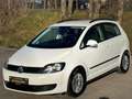 Volkswagen Golf Plus Trendline 1,4|1.Besitz|nur 21.000KM|sehr gepflegt| Weiß - thumbnail 1