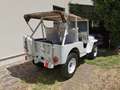 Jeep Willys Bianco - thumbnail 3