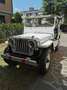 Jeep Willys Bianco - thumbnail 2