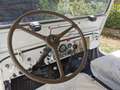 Jeep Willys Bianco - thumbnail 4