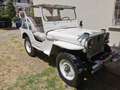Jeep Willys Bianco - thumbnail 1
